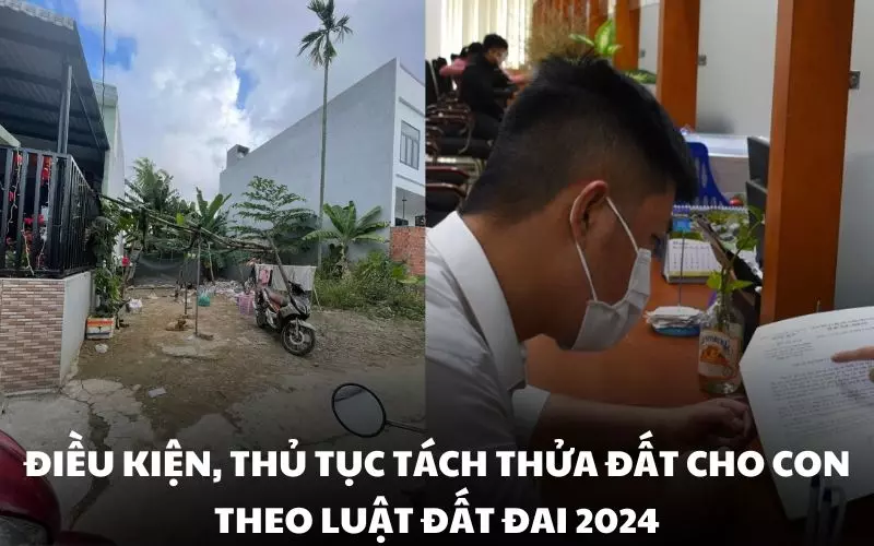 Điều kiện, thủ tục tách thửa đất cho con theo Luật đất đai 2024 tại Điện Bàn, Quảng Nam