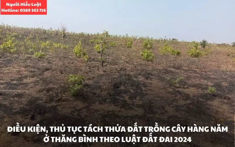 Điều kiện, thủ tục tách thửa đất trồng cây hàng năm ở Thăng Bình