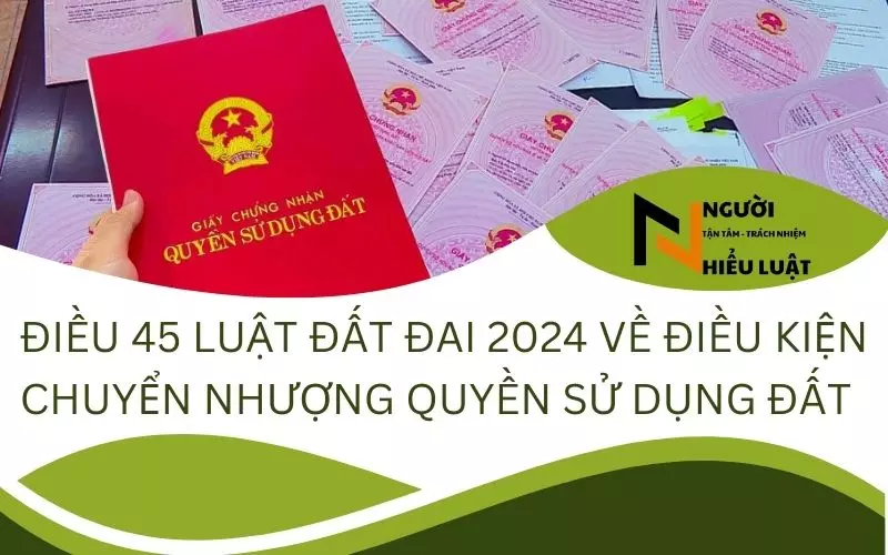 Điều 45 luật đất đai năm 2024 về chuyển quyền sử dụng đất