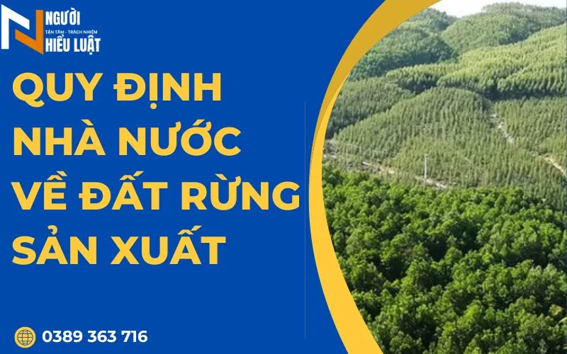Quy định đất rừng sản xuất