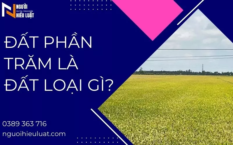 Đất phần trăm là loại đất gì?
