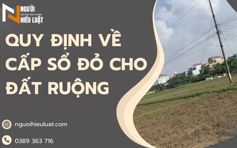 Cấp sổ đỏ cho đất ruộng