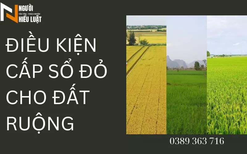 Điều kiện cấp sổ đỏ cho đất ruộng