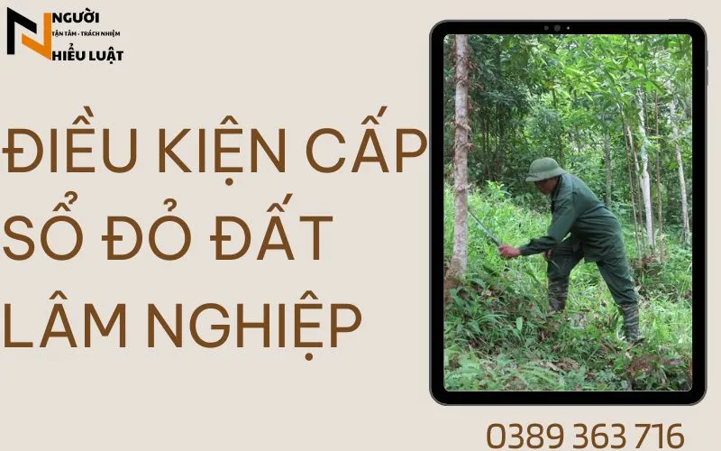Điều kiện xin cấp sổ đỏ đất lâm nghiệp