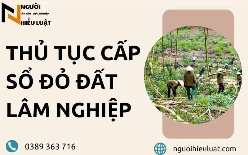 Thủ tục cấp sổ đỏ đất lâm nghiệp