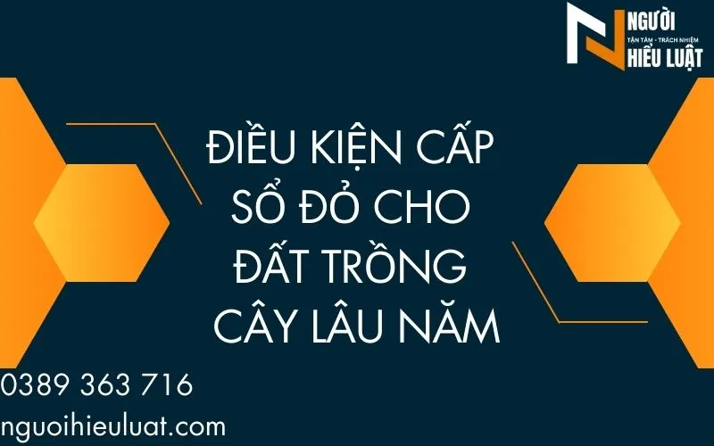 Điều kiện cấp sổ đỏ đất cây lâu năm