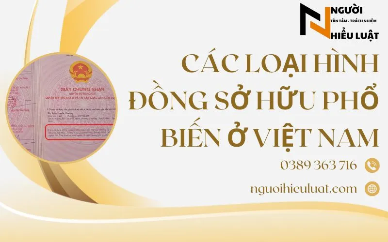 Đồng sở hữu phổ biến tại Việt Nam