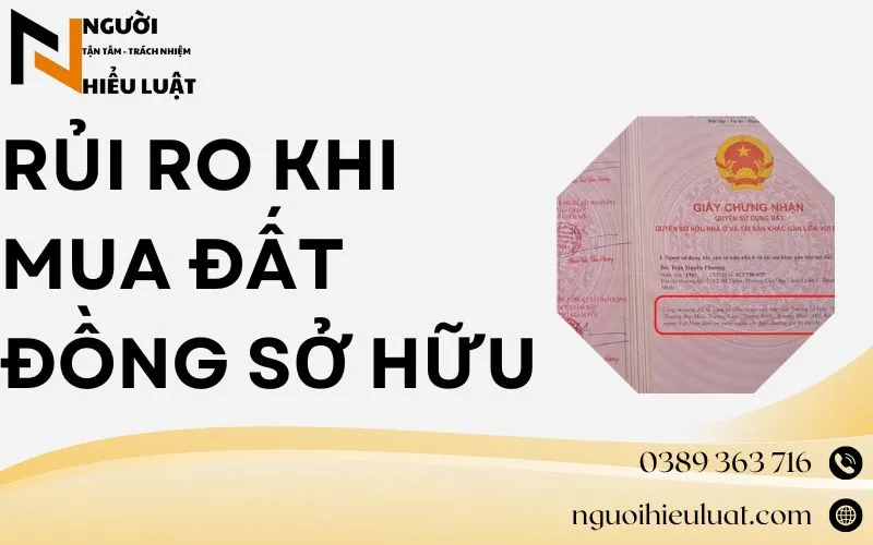 Rủi ro mua đất đồng sở hữu