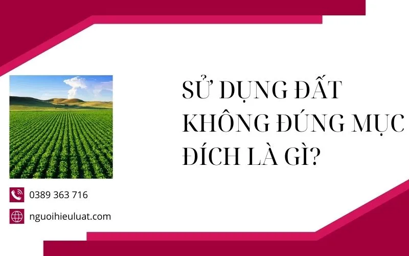 Thế nào là sử dụng đất không đúng mục đích? giải đáp từ chuyên gia