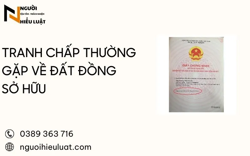 Tranh chấp thường gặp về đồng sở hữu