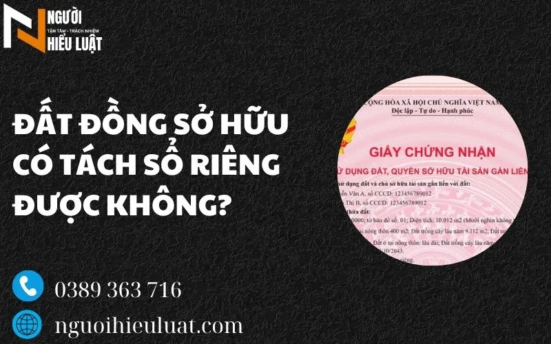 Đất đồng sở hữu có tách sổ riêng được không? Tư vấn từ chuyên gia