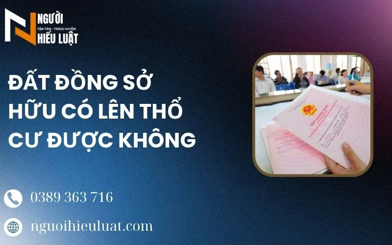 Đất đồng sở hữu có lên thổ cư được không? Giải đáp chi tiết