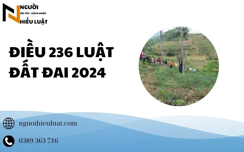 Chi tiết tranh chấp đất theo Điều 236 luật đất đai 2024